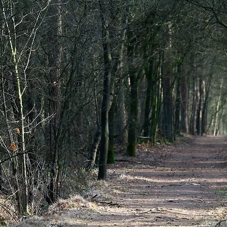 Hotel Eetcafe De Roskam Zundert