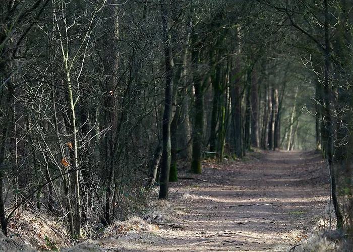 فندق Eetcafe De Roskam Zundert